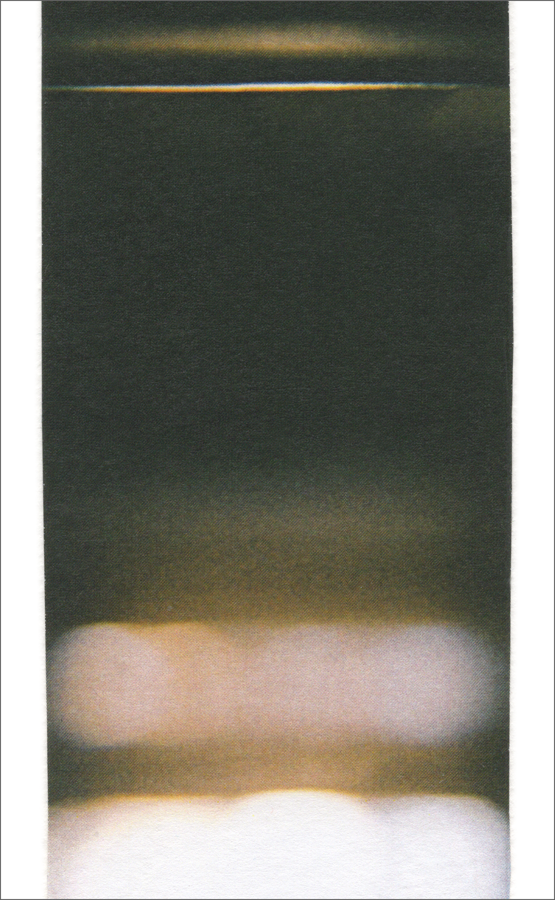 Collage 103