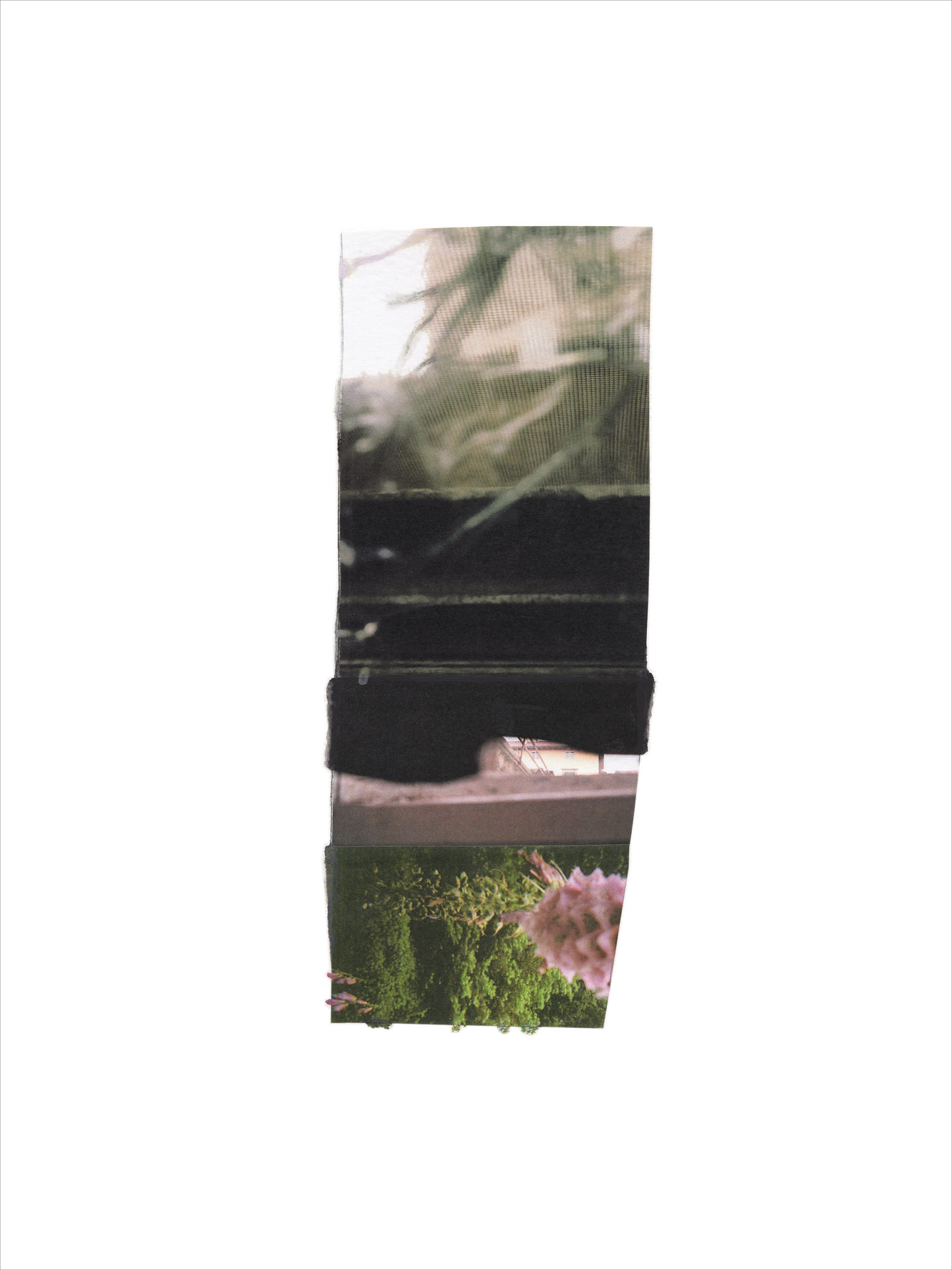 Collage 57