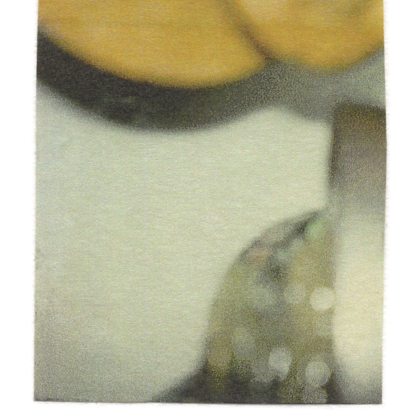 Collage 100