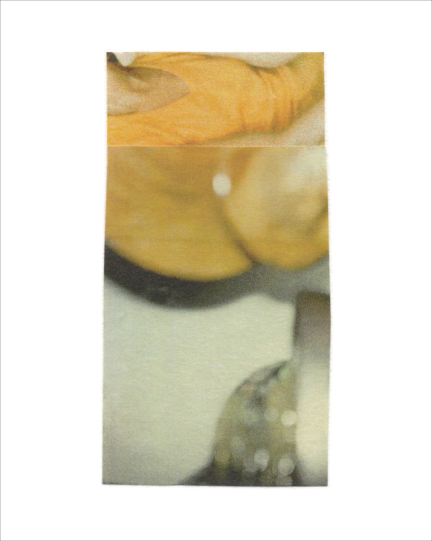 Collage 100