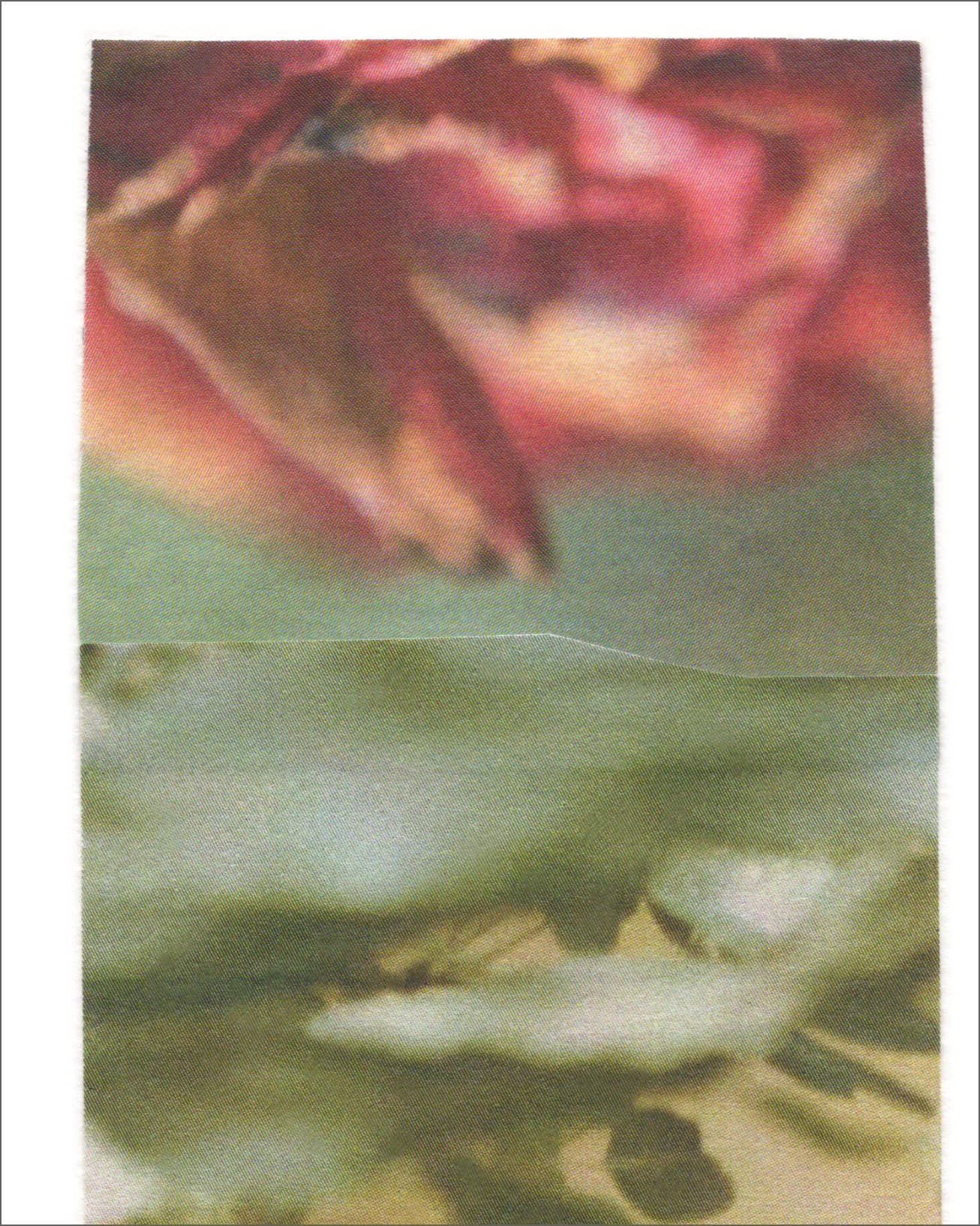 Collage 109