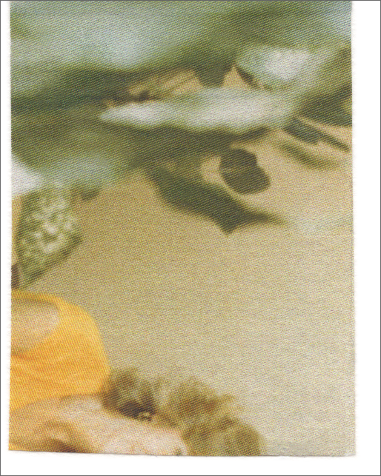 Collage 109