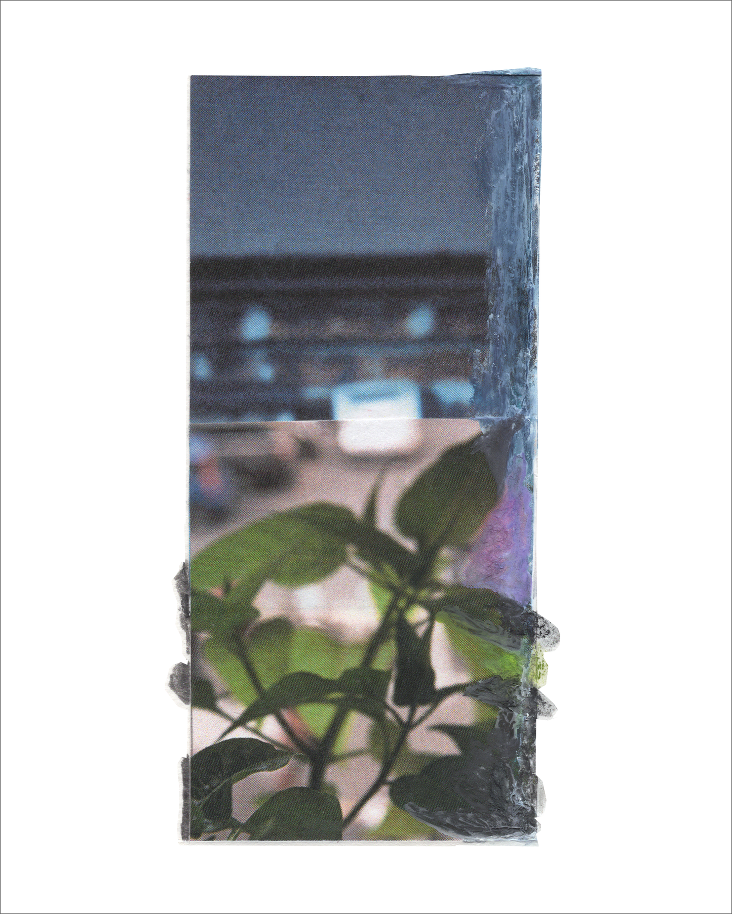 Collage 113