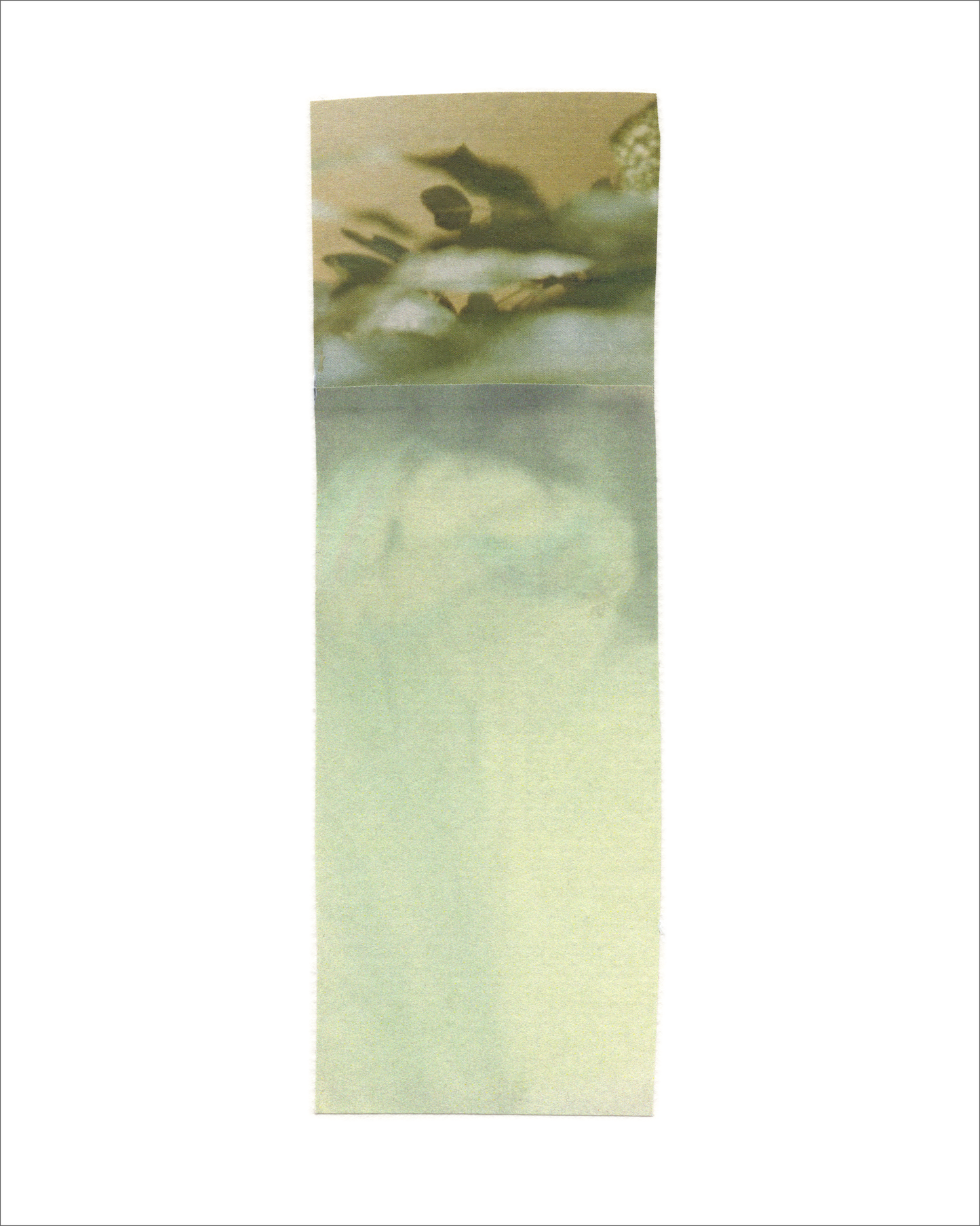 Collage 125