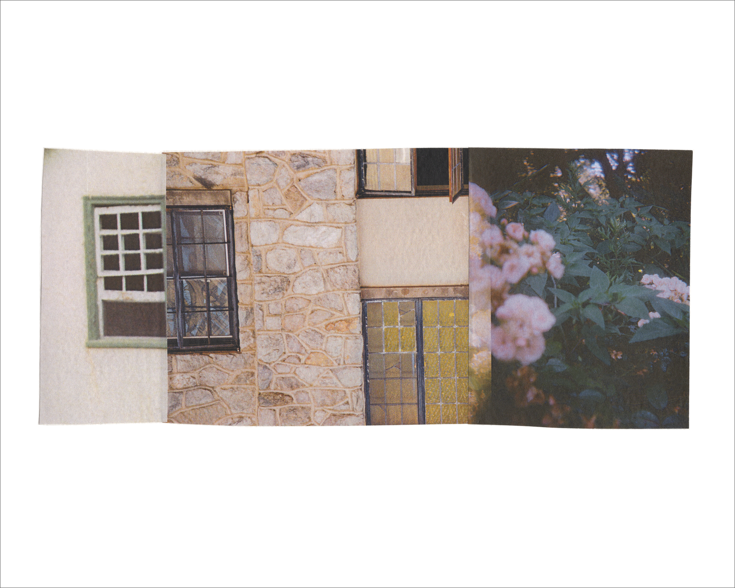 Collage 181