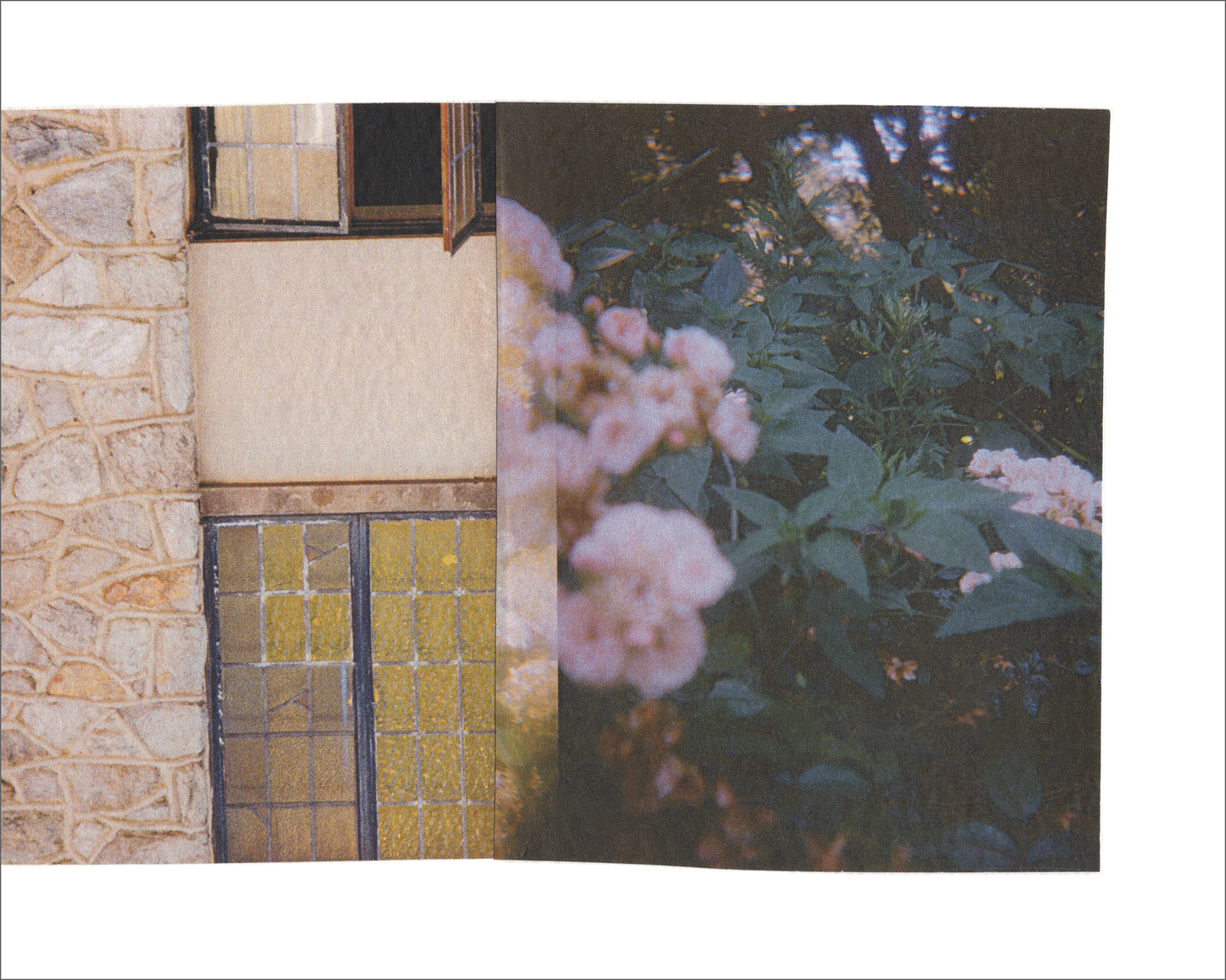 Collage 181