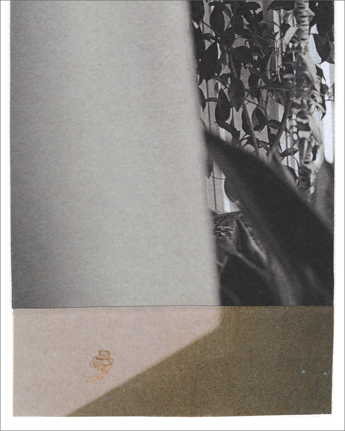 Collage 196