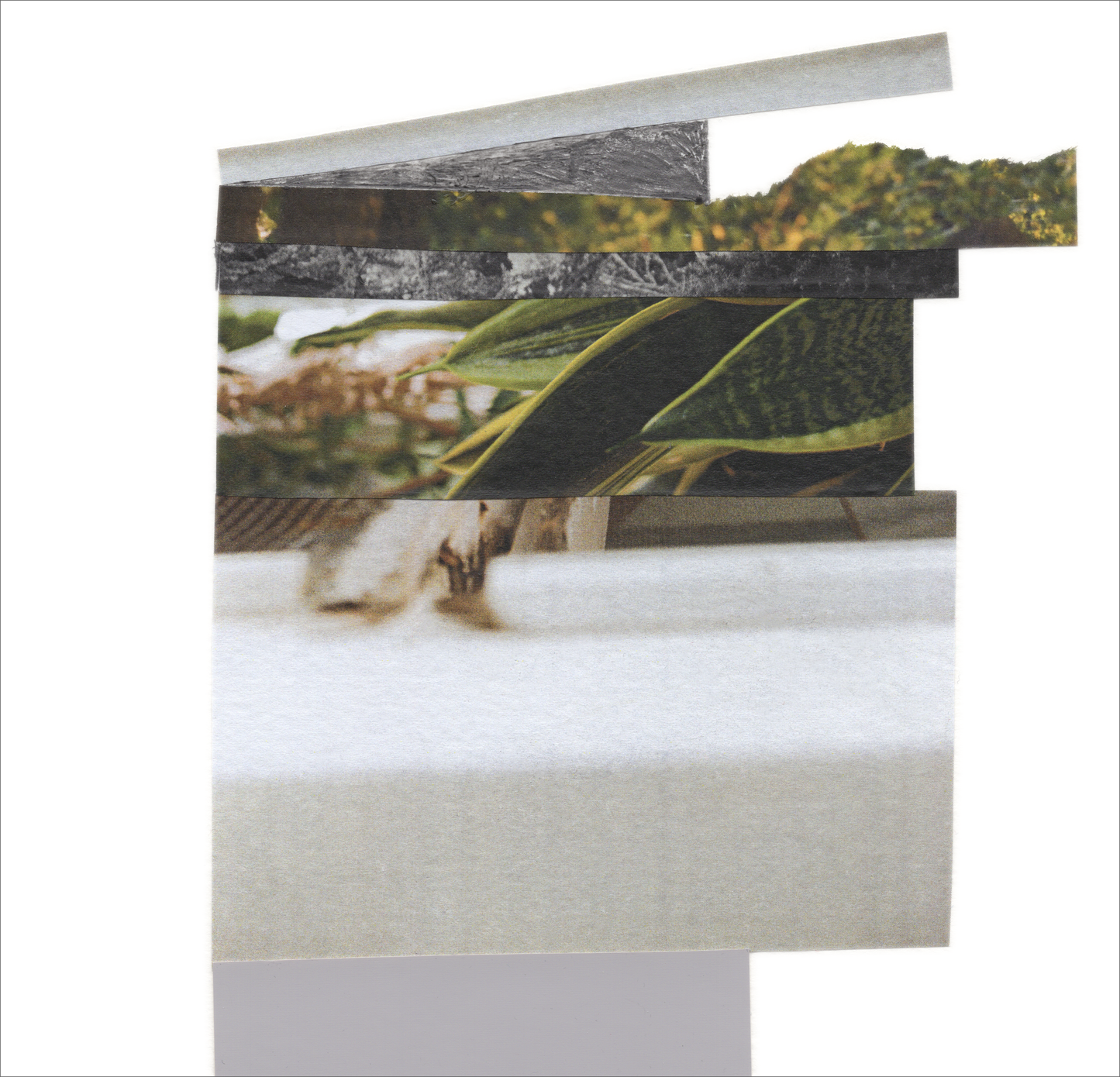 A vertical abstract photo collage with soft hues of monochromatic grays and muted greens. This collage features choppy edges and snippets of imagery cascading down, narrowing as it goes. This piece combines photo fragments of leaves and softly blurred architectural imagery, with graphite mark-making and flat geometric shapes.