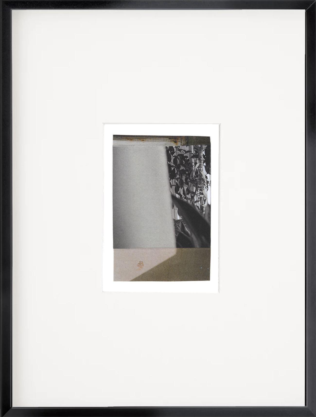 Framed abstract photo collage with botanical leaf shadows in black and white layered with soft neutral architectural elements and muted tones.