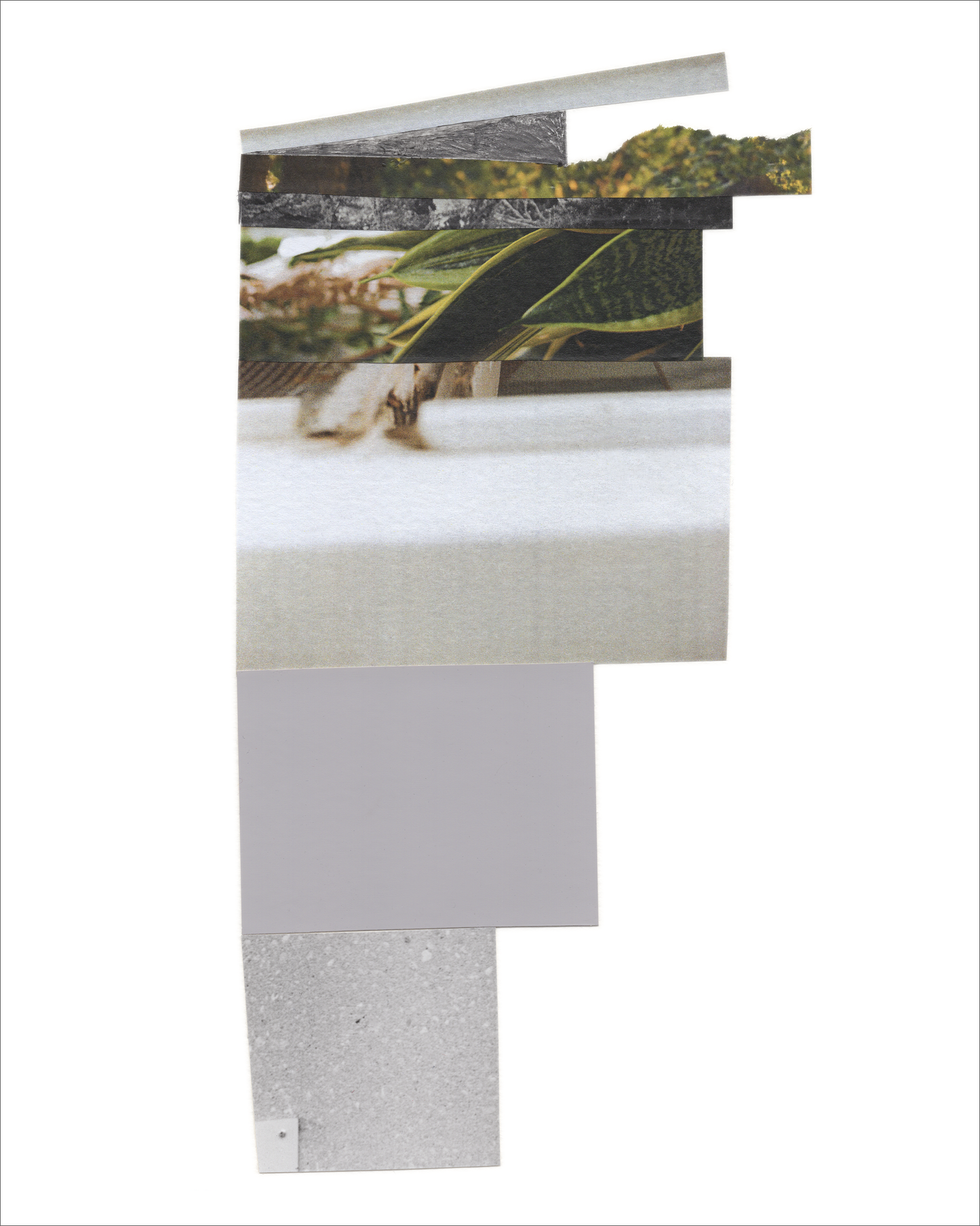 A vertical abstract photo collage with soft hues of monochromatic grays and muted greens. This collage features choppy edges and snippets of imagery cascading down, narrowing as it goes. This piece combines photo fragments of leaves and softly blurred architectural imagery, with graphite mark-making and flat geometric shapes.
