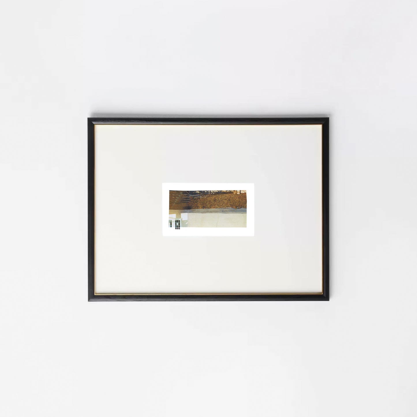 Abstract photo collage featuring golden grasses and architectural fragments in a black frame.