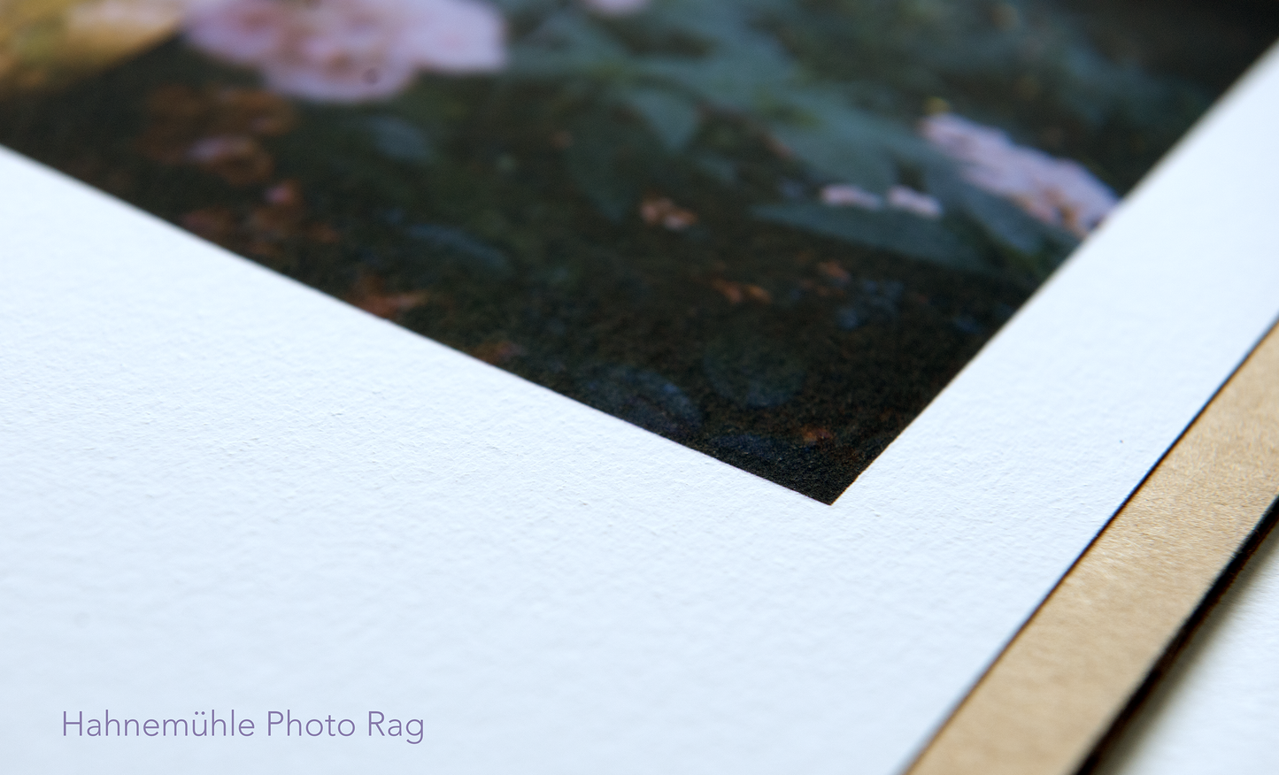 Photo Collage Fine Art Print on museum-quality Hahnemühle Photo Rag using 12-color archival inks