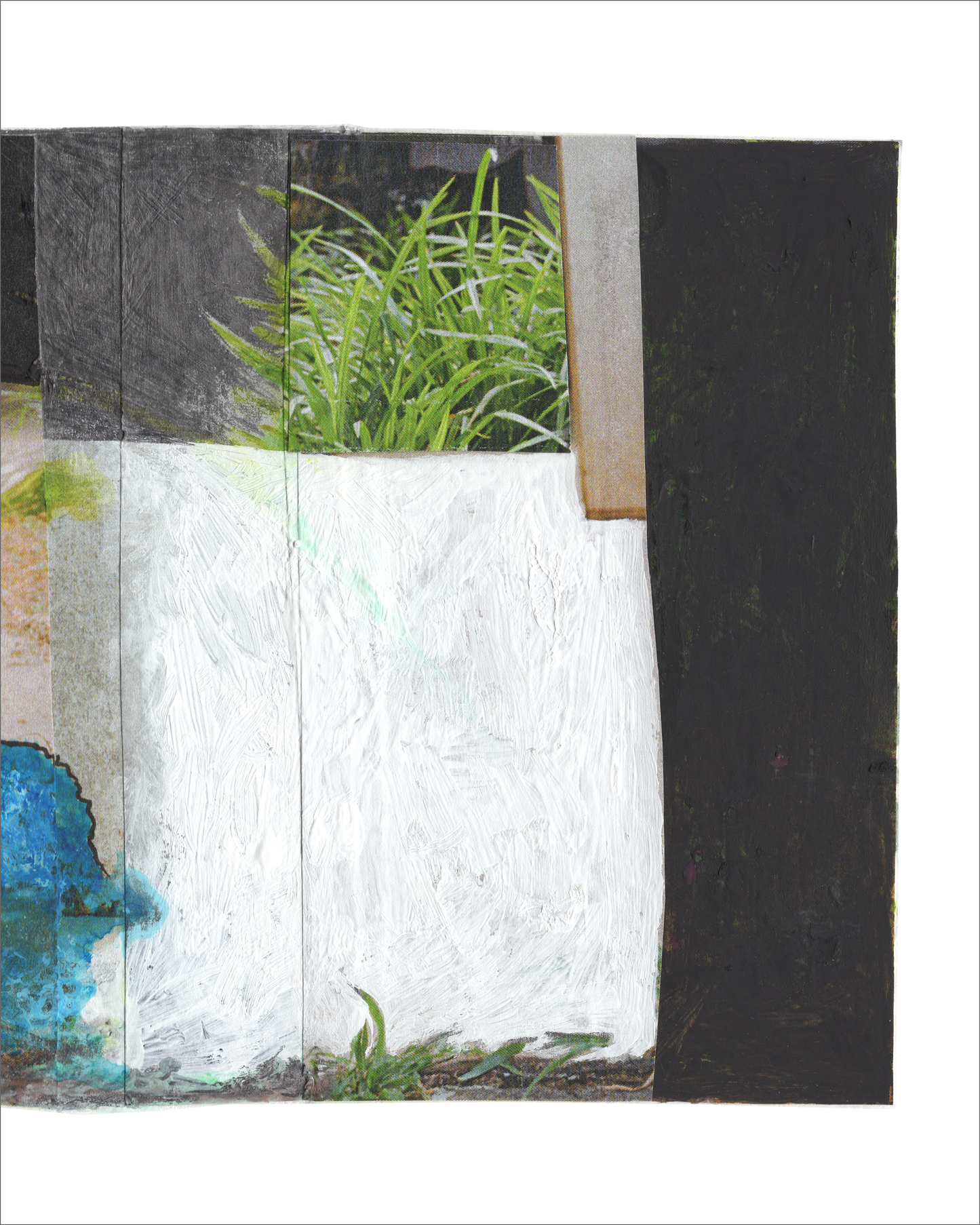 Horizontal abstract photo collage with a field of turquoise blue on the left and a painterly area of white on the right. Photos of green plants flank the top of the color blocks, with areas of black and columns of beige on the left and right of this composition.