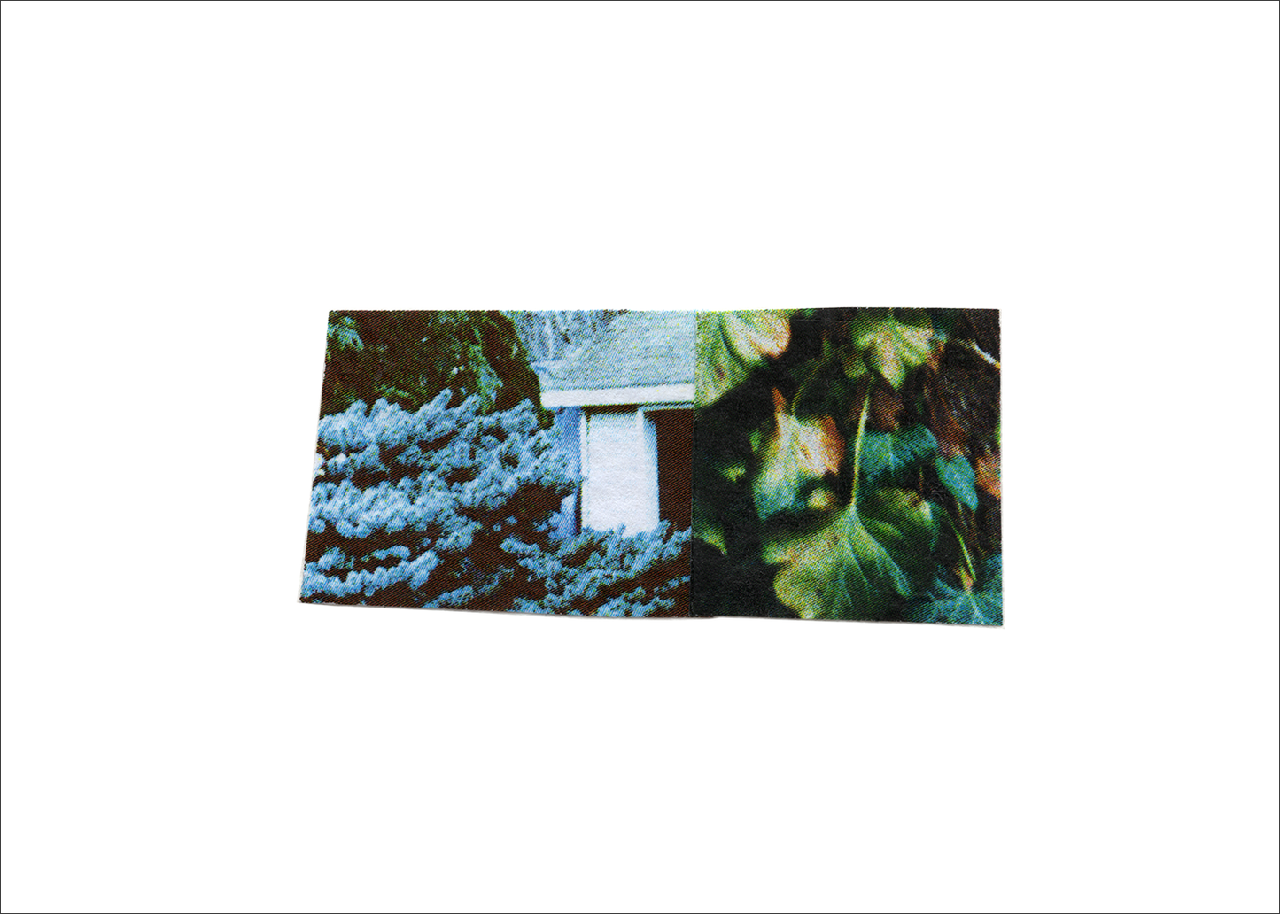 Micro Collage 1