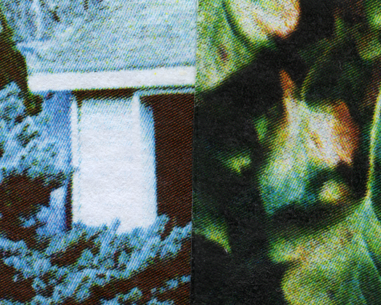 Micro Collage 1
