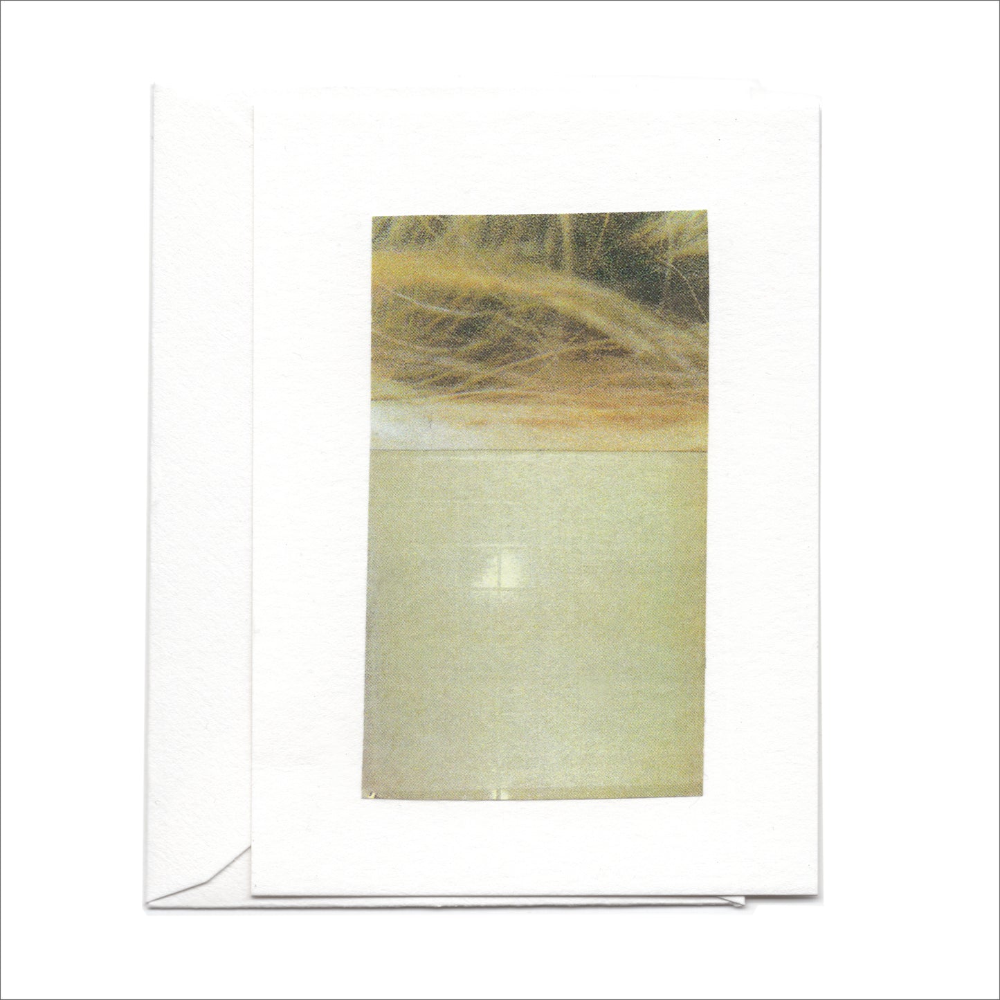 Small Note Card Variety Pack of 4