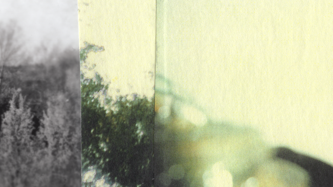 Collage detail with a black and white photo of trees on the left, and abstract yellow green photo imagery on the right and center.