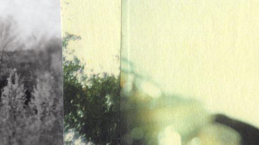 Collage detail with a black and white photo of trees on the left, and abstract yellow green photo imagery on the right and center.