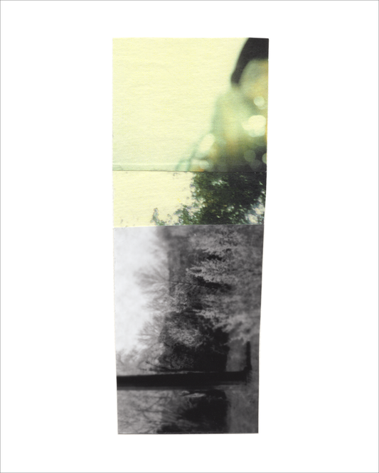 Collage 73