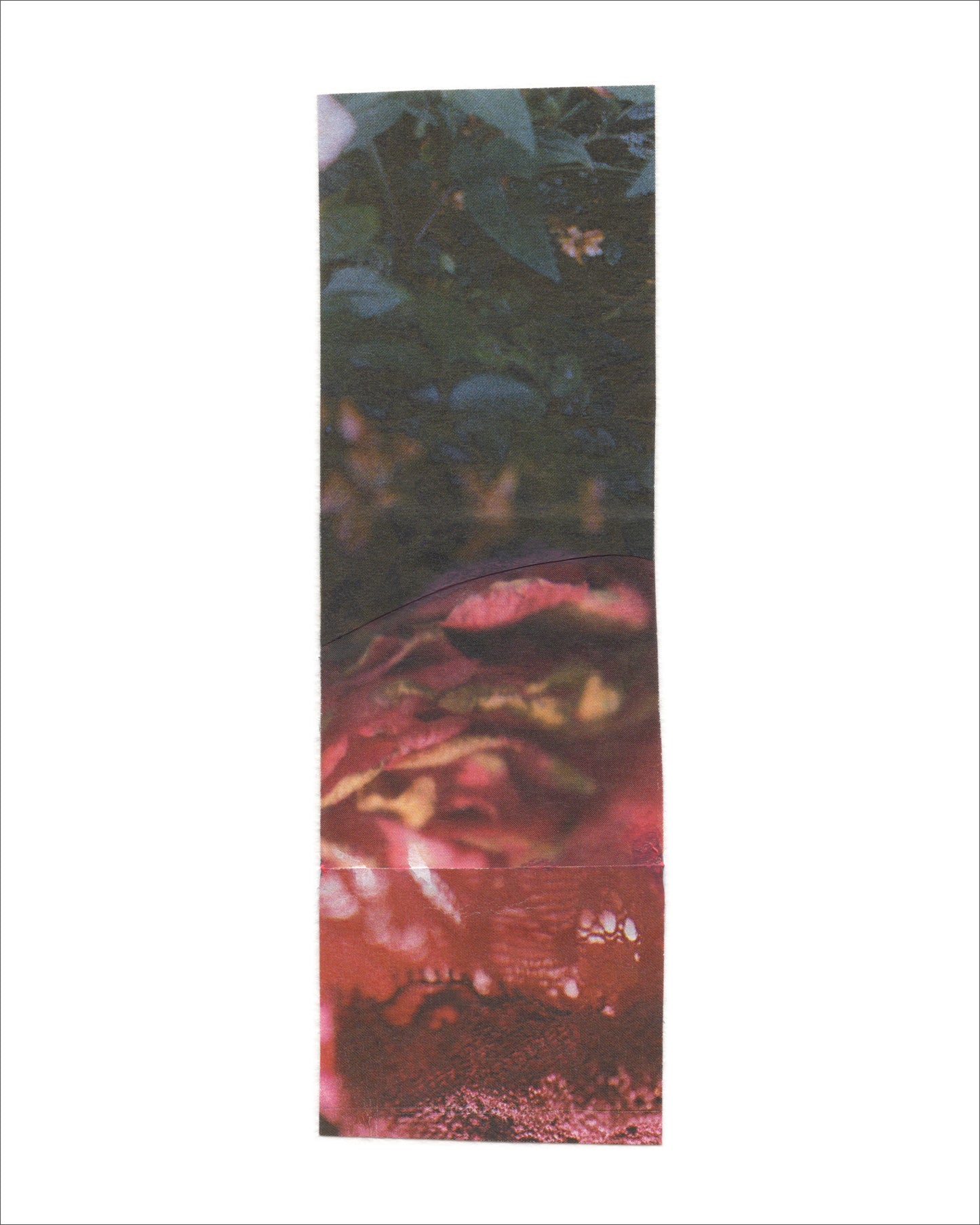 Collage 88
