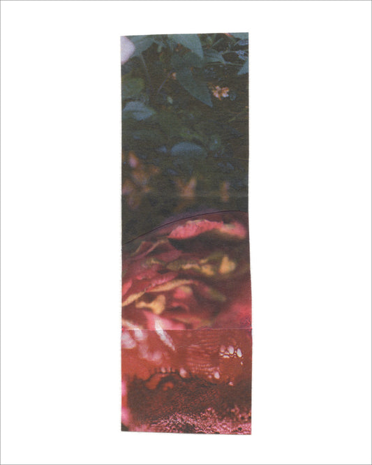 Collage 88