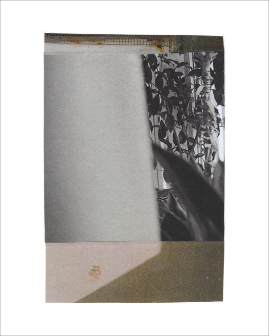 Collage 196