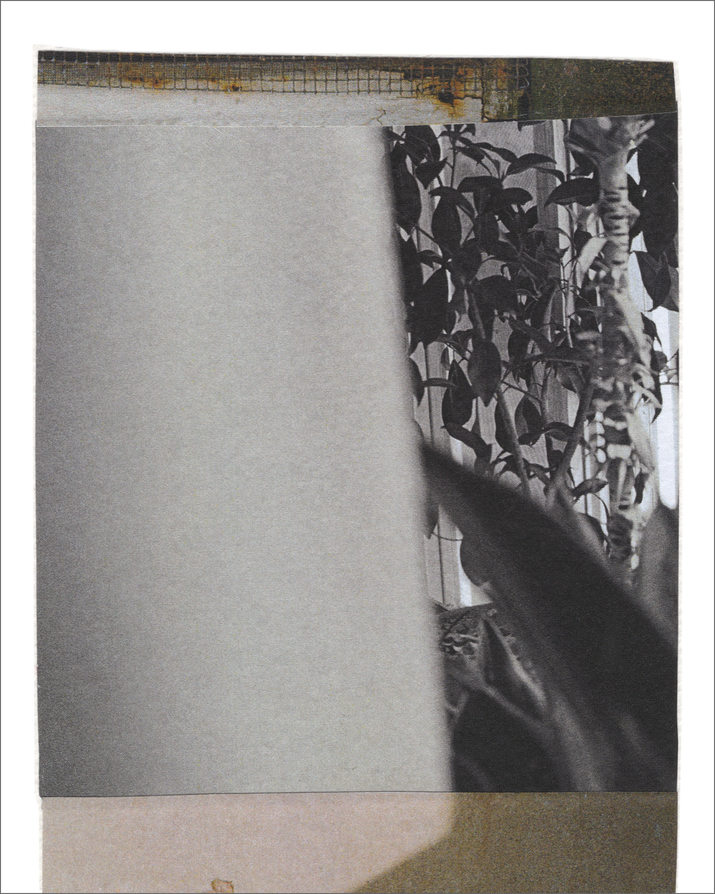 Collage 196