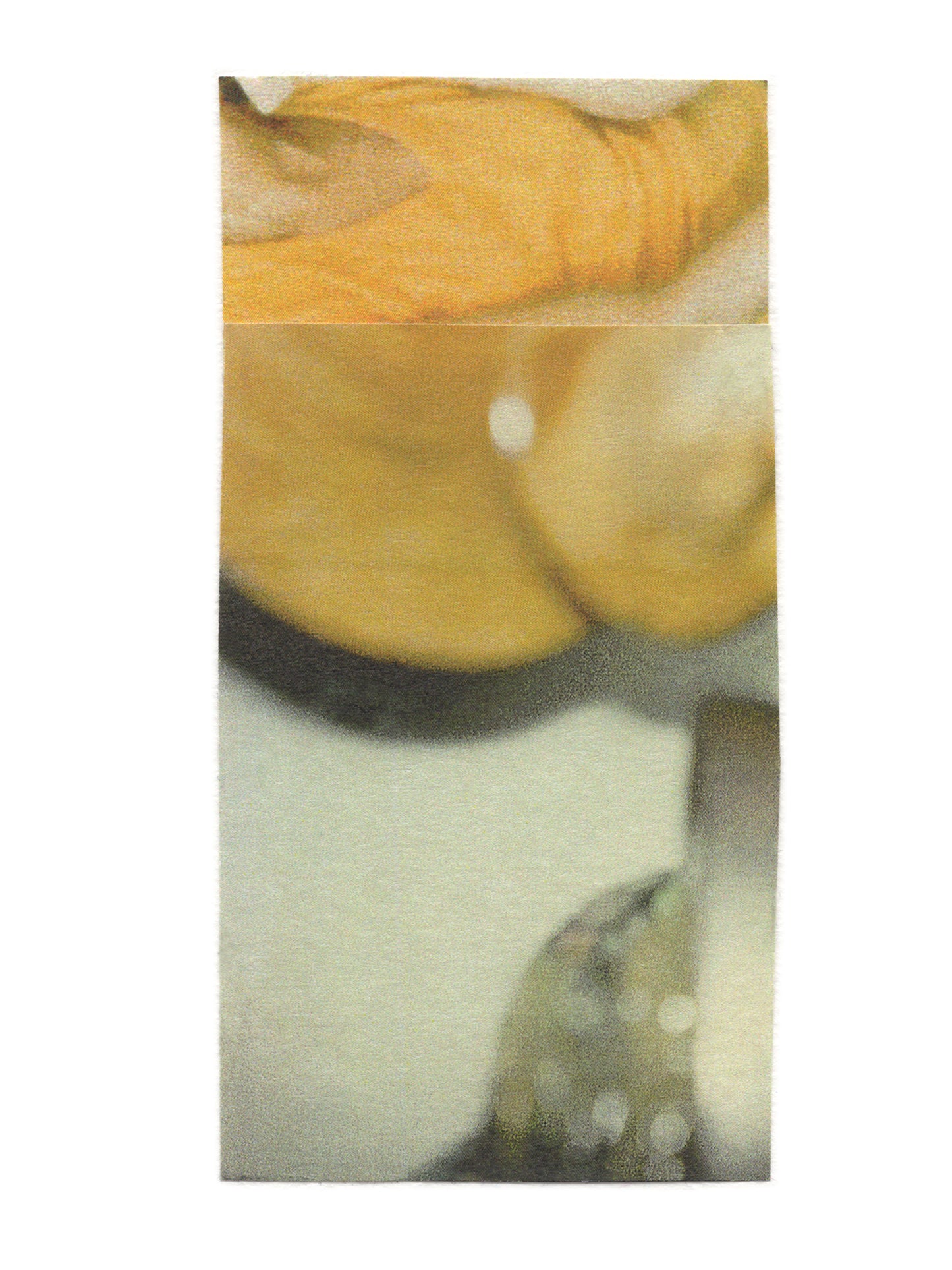 Yellow, gold, and sage green abstract photo collage on paper. 