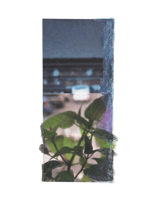 Mixed media photo collage with purple and blue tones and green leaves.