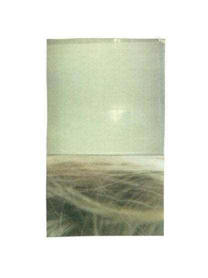 Abstract photo collage in muted greens, taupes, and golden tones.