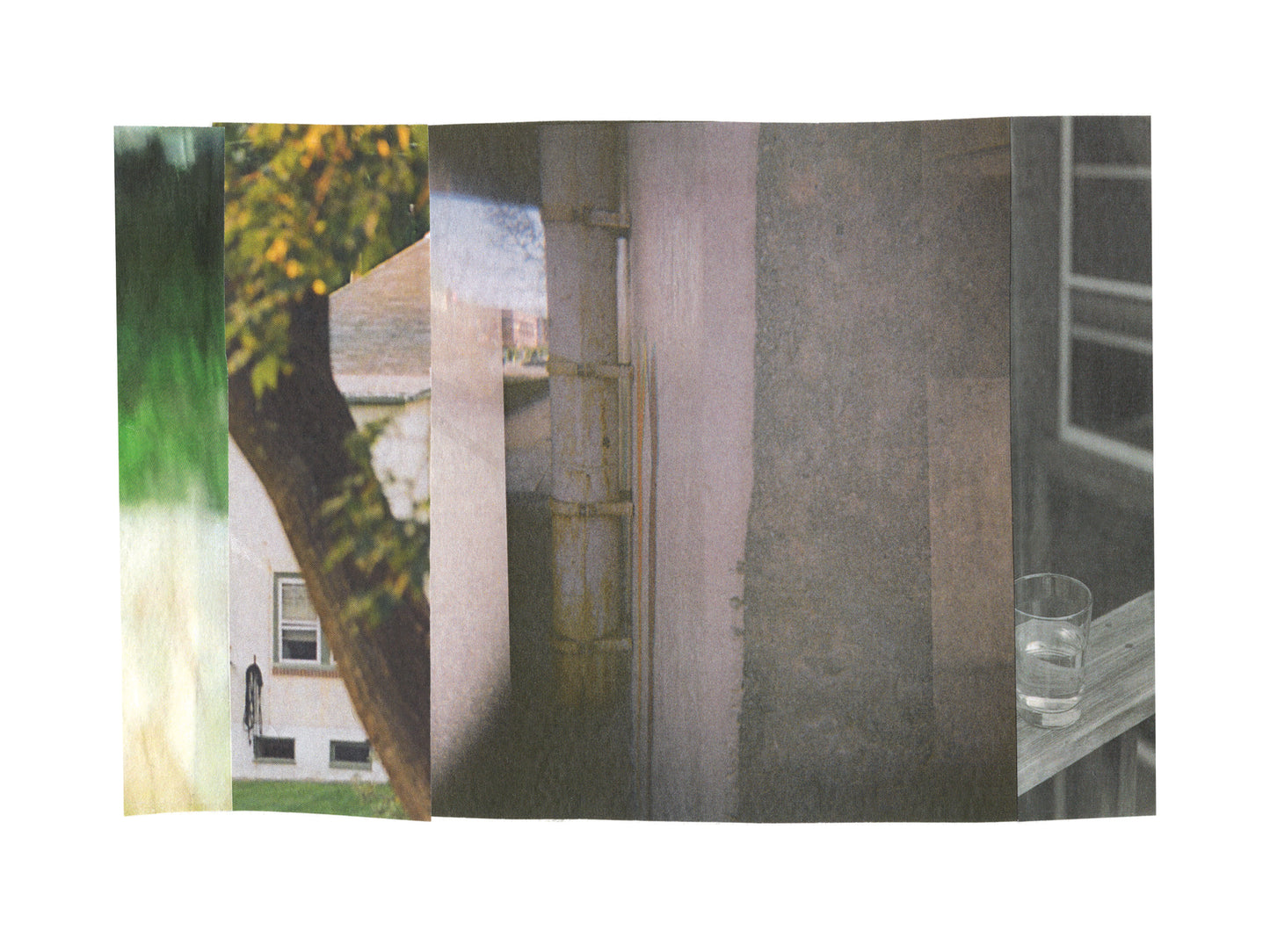 Abstract photo collage with gray tones and green nature imagery.