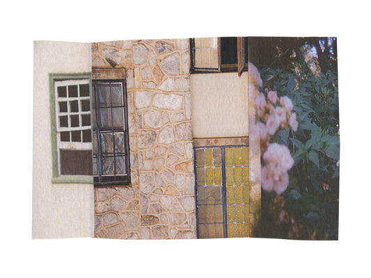 Photo collage with multiple windows and botanical imagery. 