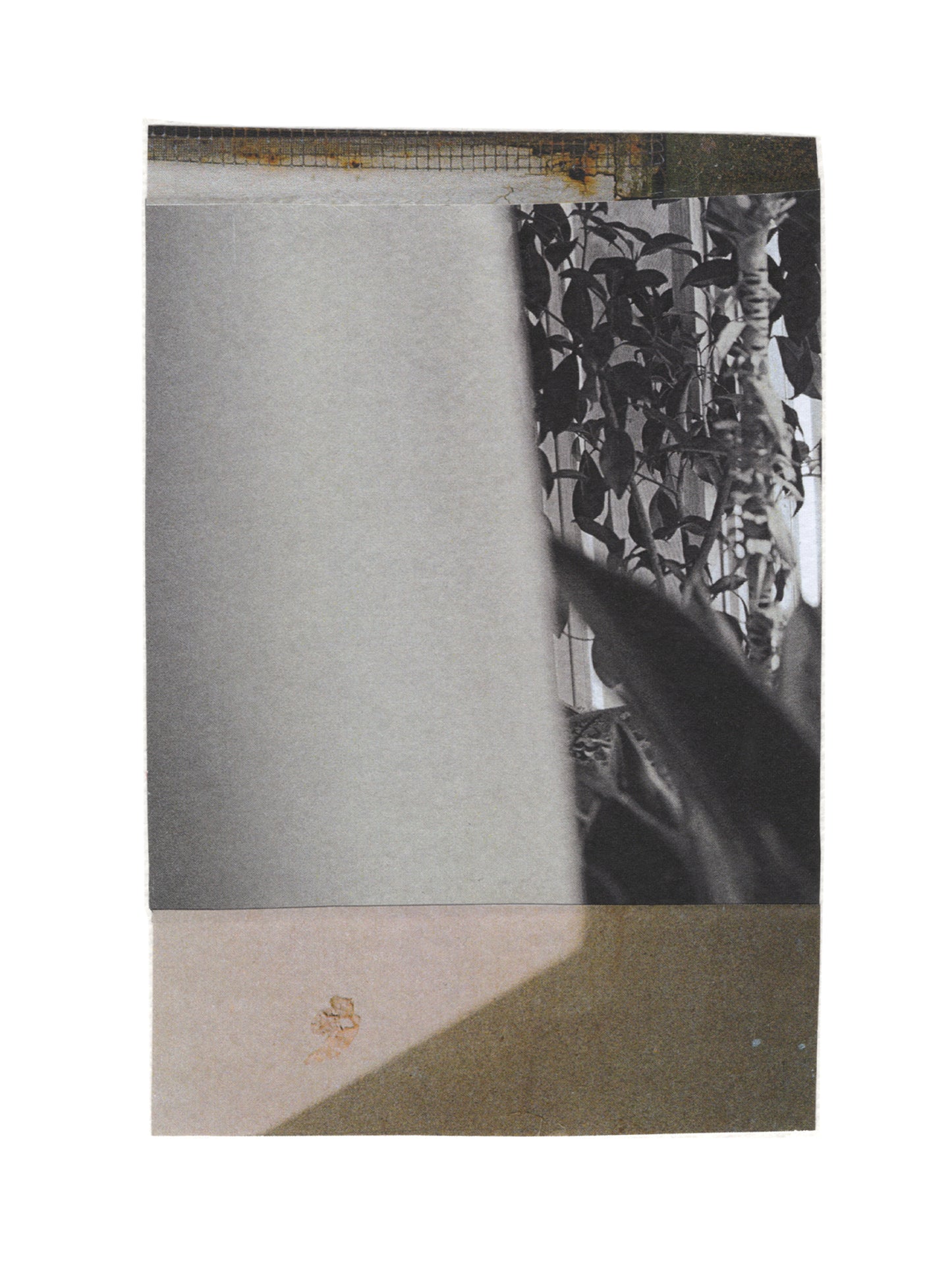 Abstract photo collage with botanical leaf shadows in black and white layered with soft neutral architectural elements and muted tones.