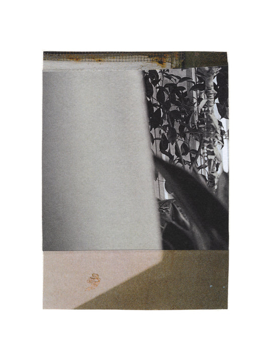 Black and white abstract mixed media collage art with leafy plants.