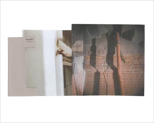 Collage 212 (Armadillo)