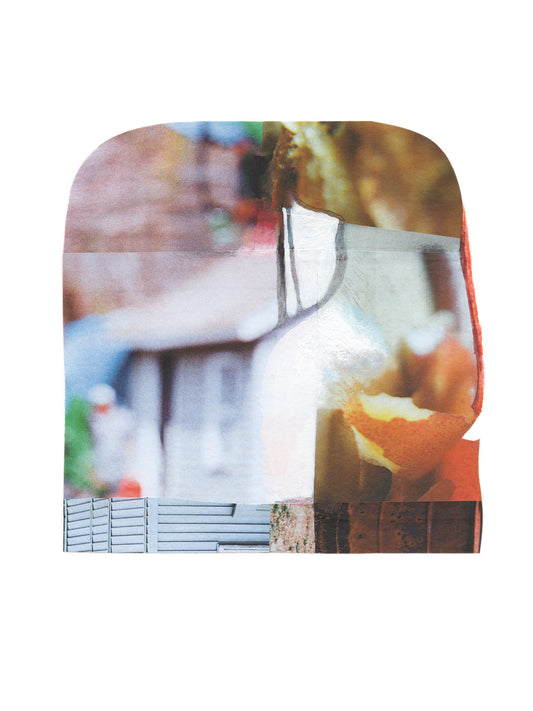 Multicolored abstract mixed media collage with nature and architectural themes.