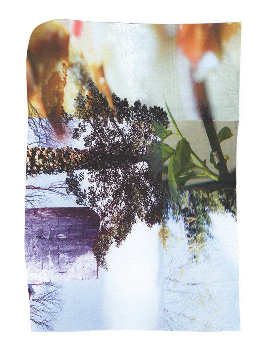 Abstract mixed media collage with multi-color nature imagery.