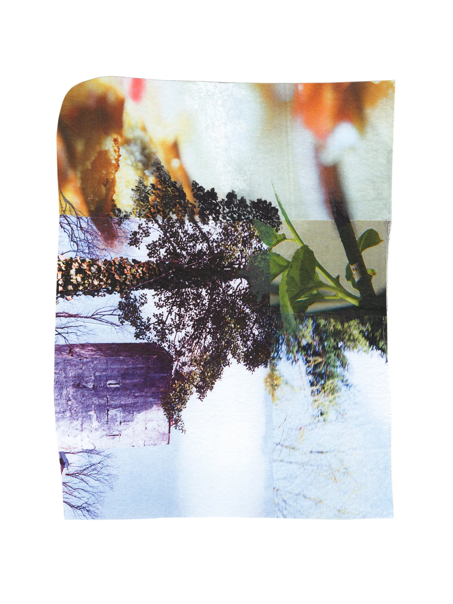 Abstract mixed media collage with multi-color nature imagery.