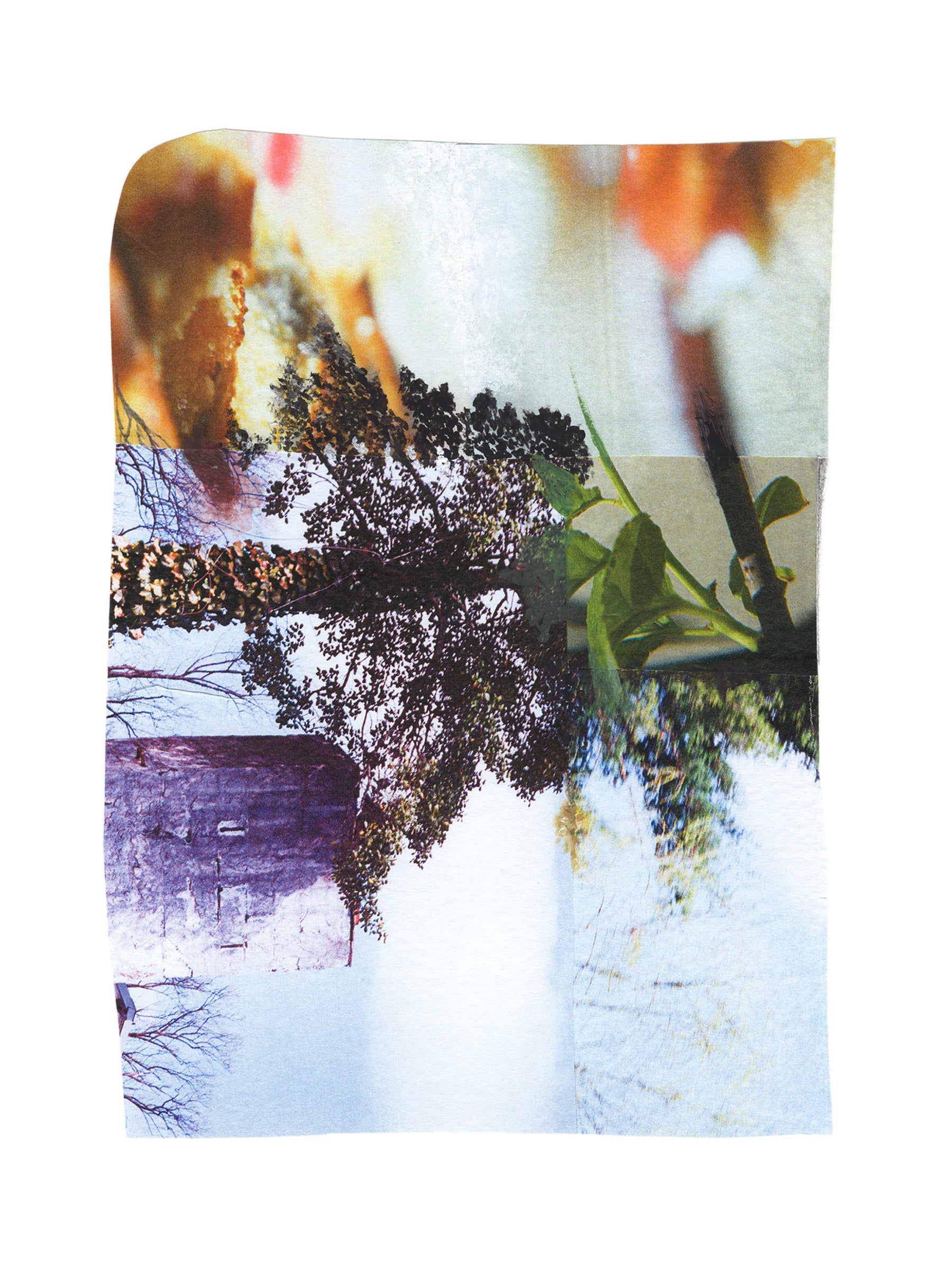 Abstract mixed media collage with multi-color nature imagery.