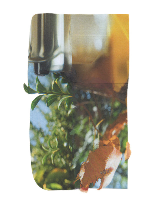 Abstract photographic collage with layered green botanical, amber, and blue.