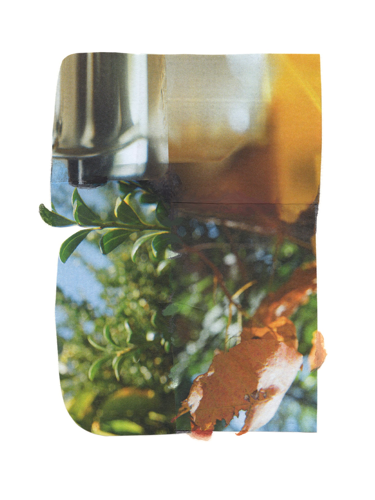 Abstract photographic collage with layered green botanical, amber, and blue.