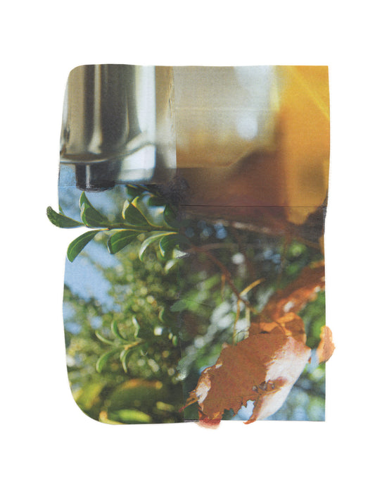 Abstract photographic collage with layered green botanical, amber, and blue.