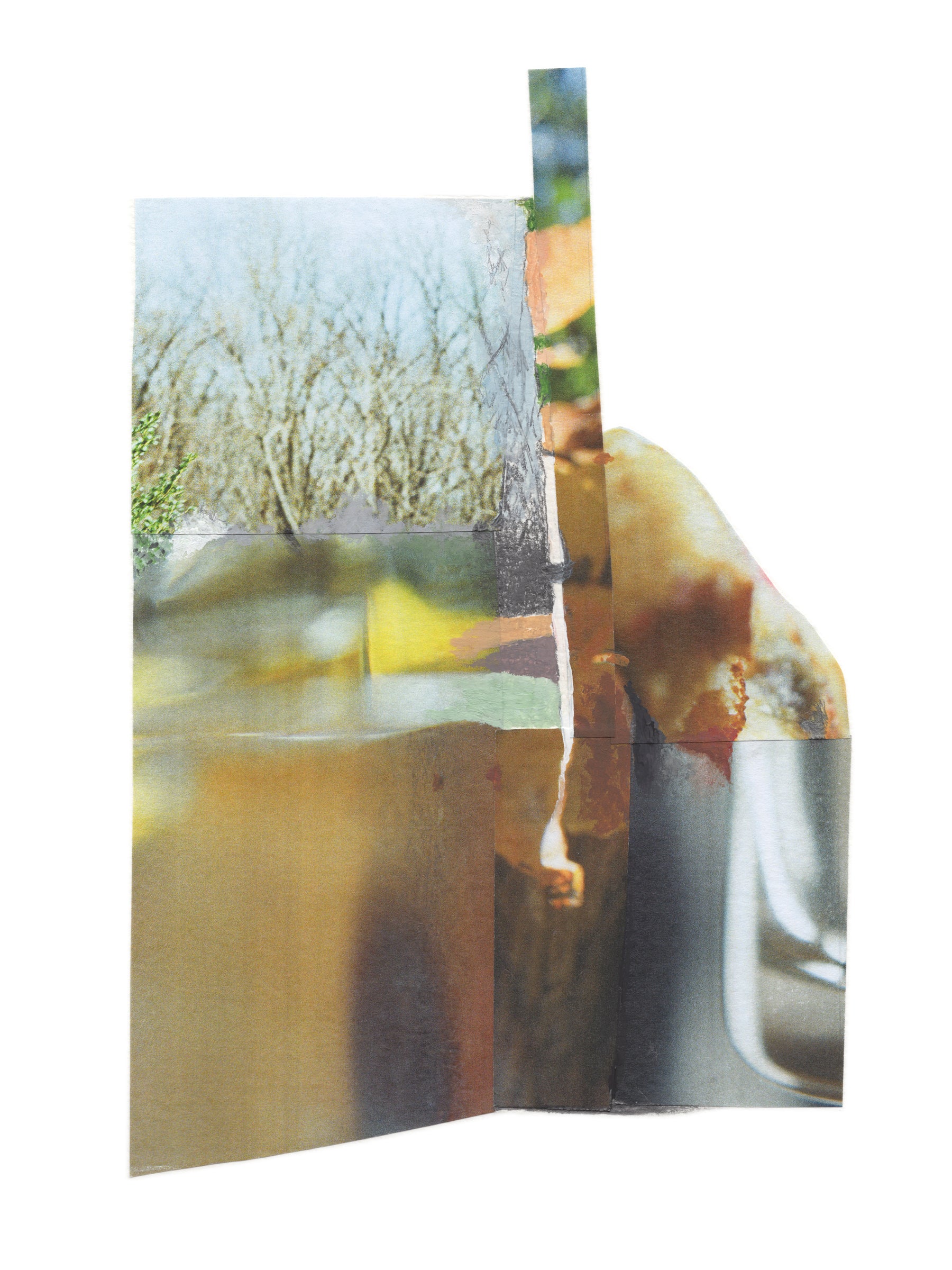 Dreamlike botanical photo collage with organic edges and earth tones. 