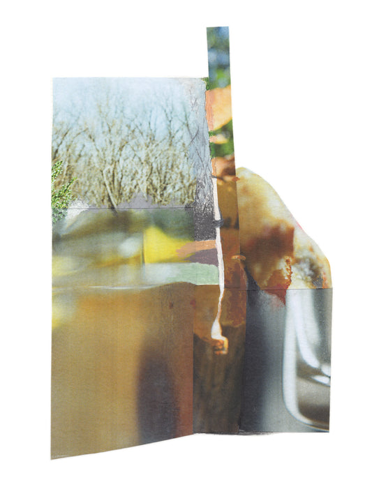 Dreamlike botanical photo collage with organic edges and earth tones. 