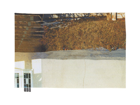 Photo collage with golden grass and a small window element. 