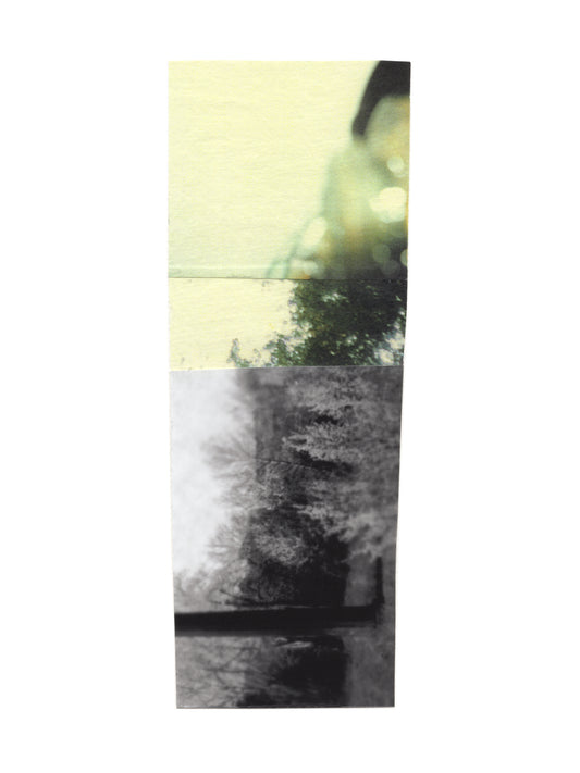 Yellow, green, and black & white photo collage with abstract forms and dreamy details. 