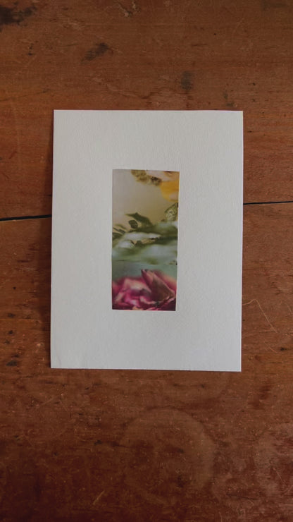 Abstract vertical collage in gold, yellow, red, rose, pink, and green tones with soft, dreamy textures and layered photography.