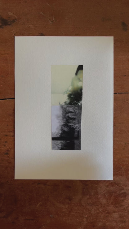 Vertical abstract photo collage. The top portion of this collage features a blurry and dreamy green and black photo that merges into a photograph of leaves on a tree of the same colors. The bottom portion features another dream-like black and white photograph of trees turned on its side.
