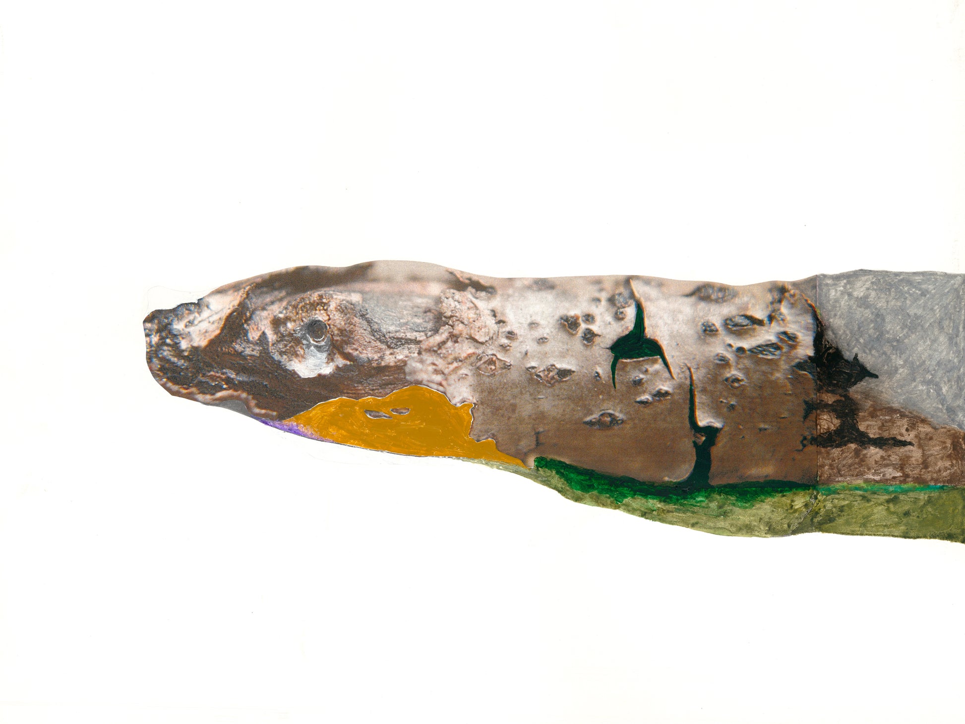 Artwork of a snake built from photo and yellow, green, and gray paint. 